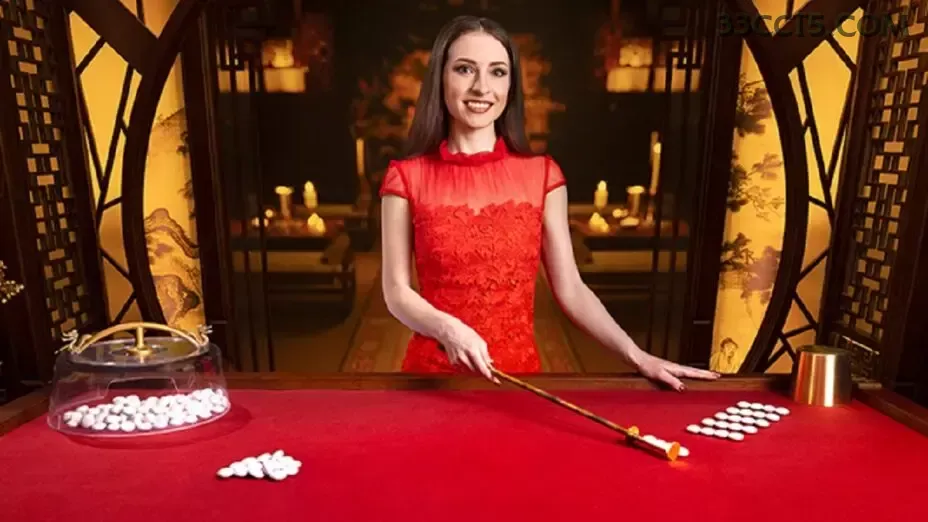 Casino VIP 33cc